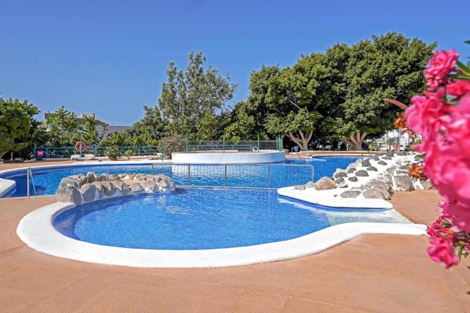 Amazing 2 Bedroom Flat With Beachfront And Pool, Paraiso Del Sur A306 Плайя-Параисо Экстерьер фото